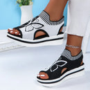 2024 Summer New Women Sandals Round Toe Platform Sole Mesh Single Women Shoes Casual Fashion Blue Butterfly Plus Size Sandals