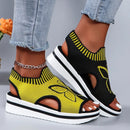 2024 Summer New Women Sandals Round Toe Platform Sole Mesh Single Women Shoes Casual Fashion Blue Butterfly Plus Size Sandals