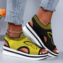 2024 Summer New Women Sandals Round Toe Platform Sole Mesh Single Women Shoes Casual Fashion Blue Butterfly Plus Size Sandals